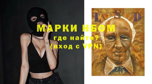 spice Богородицк