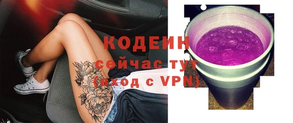spice Богородицк
