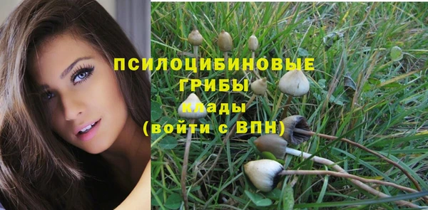амфетамин Богородск