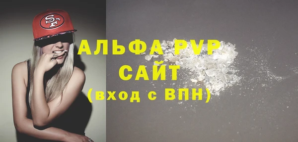 spice Богородицк