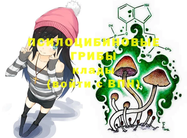 spice Бородино