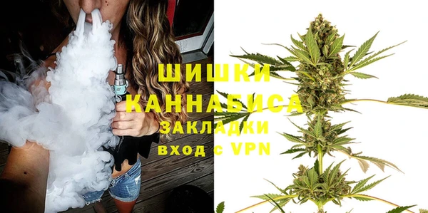 spice Богородицк