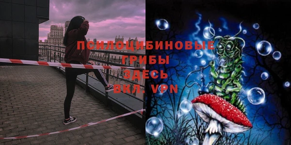 кокаин Богданович