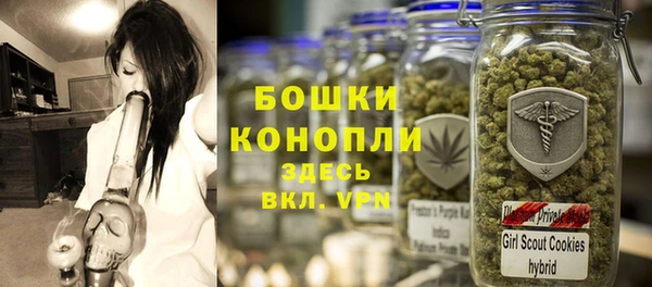 spice Богородицк
