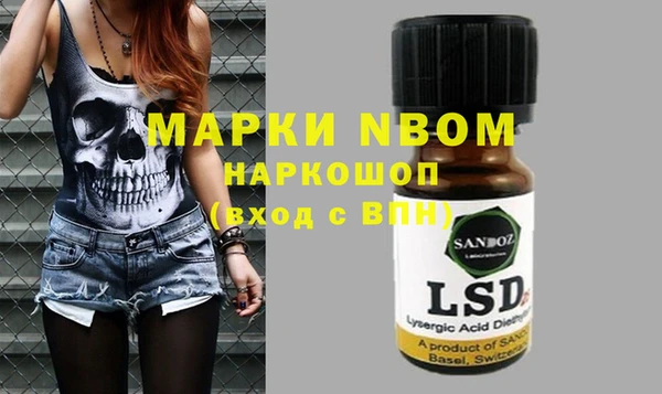 spice Бородино