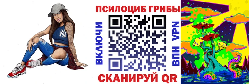 блэк спрут вход  Камызяк  Псилоцибиновые грибы Cubensis 